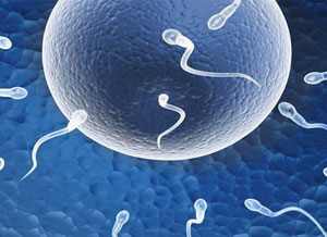 IVF in Vitro Fertilization